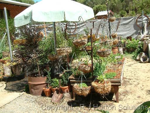 Vegie patch recycled 